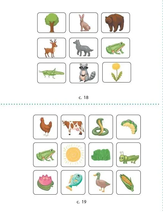 STEM-Старт. Зошит для учня. Наука про життя. 2 клас - фото 13