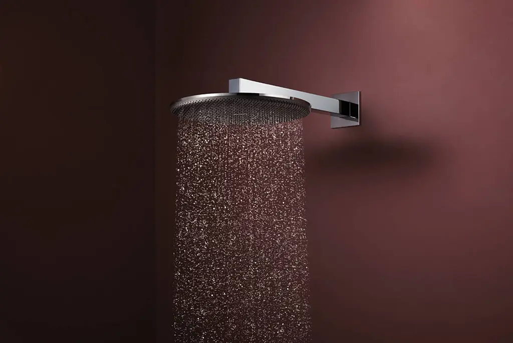 Верхній душ Hansgrohe Raindance Alive S 300 2jet EcoSmart з тримачем chrome 24541000 - фото 2