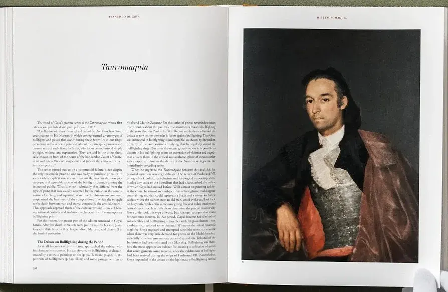 Goya. The Complete Prints - фото 21