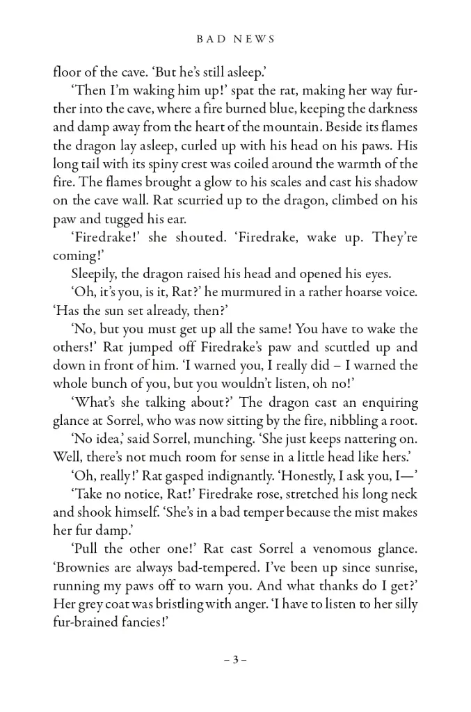 Dragon Rider. Book 1 - фото 4