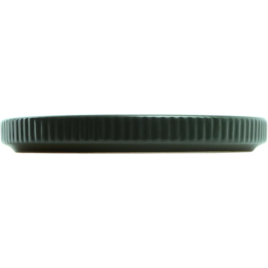 Тарілка Limited Edition Robust Green десертна 19 см (TRSC-PS2505-G80P) - фото 2