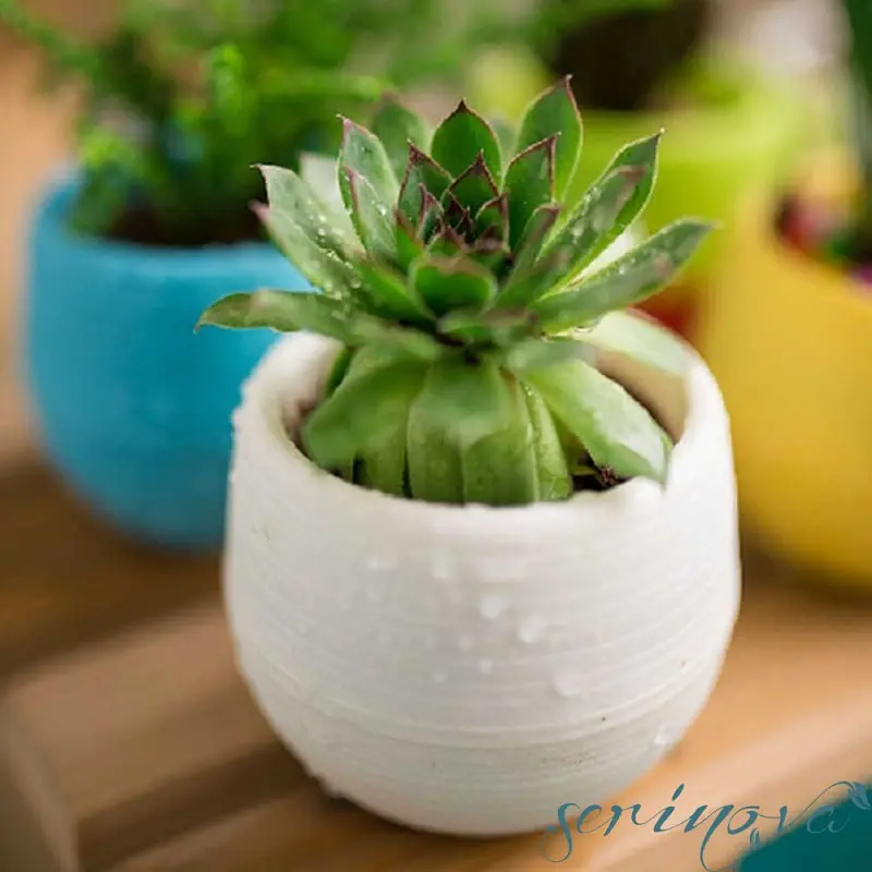 Горшок для цветов Serinova Colorful, 1.3 л, светло-голубой (ES05-PudraMavi) - фото 8