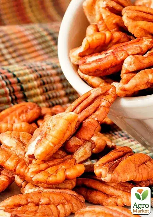 Саджанець Agro-Market Горіх Пекан Meramec саджанець 3 роки (морозостійкий, урожайний сорт) 1 шт. в упаковці (179041) - фото 2