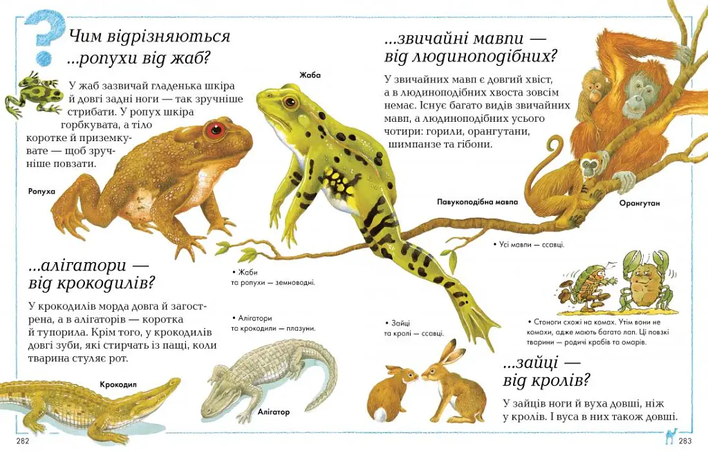 Велика книга «Чому?» - - фото 4