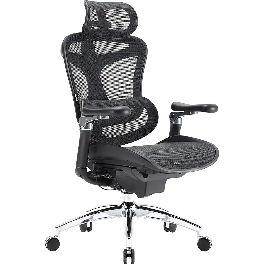 Офисное кресло Sihoo Doro C300 Pro Mesh Black (DORO-C300-PRO-M101) - фото 4