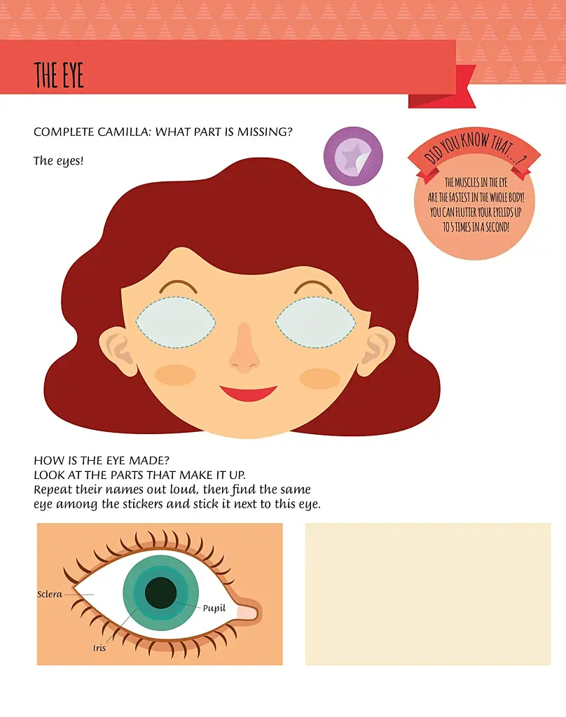 My First Book of the Human Body: Montessori Activity Book - фото 10