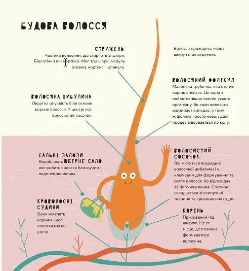 Книжка про волосся - фото 4