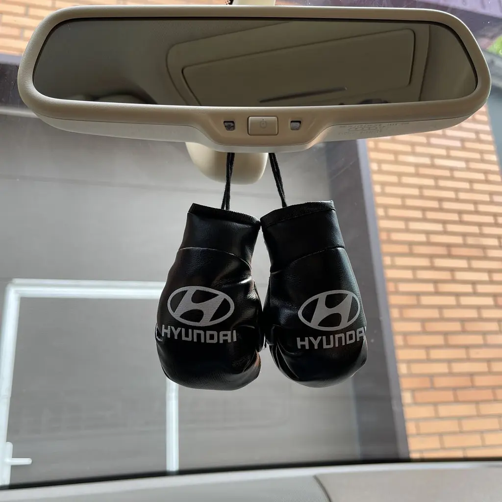 Підвіска боксерські рукавички Hyundai Чорний - фото 2