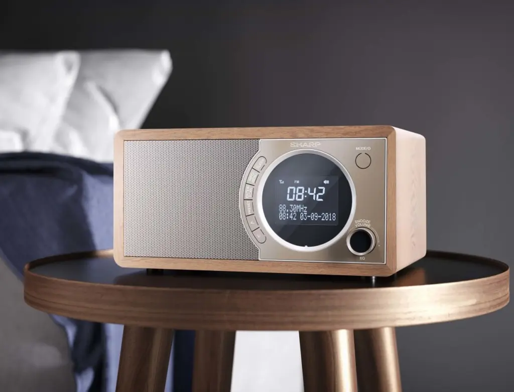 Радіоприймач колонка Sharp DR450BR Brown DAB+, FM RDS, Bluetooth, мережа - фото 5