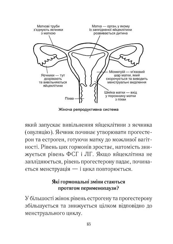 Бути жінкою. Усе про клімакс та менопаузу - фото 6