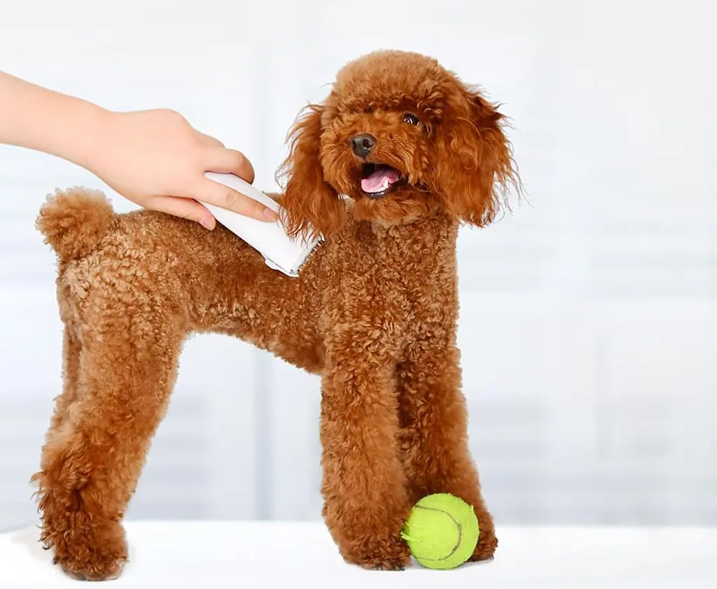 Машинка для стрижки животных Xiaomi Pawbby Pet Shaver (MG-HC001) белая - фото 2