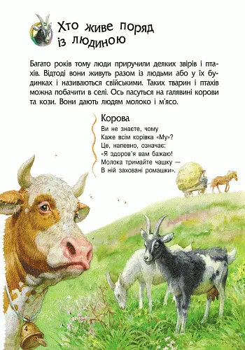 Енциклопедія дошкільника Ранок Тварини - Юлія Каспарова (С614005У) - фото 5