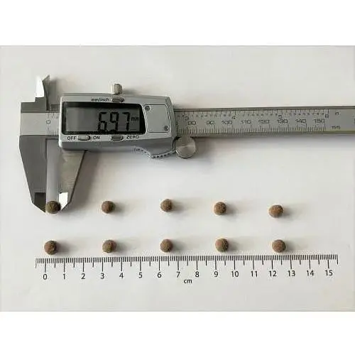 Сухий корм Brit Care Cat by Nutrition Kitten Gentle Digestion Immunity для котят с лососем 400 г - фото 4