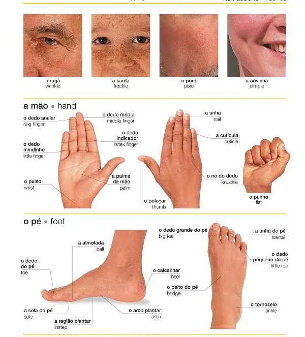 Portuguese-English Visual Bilingual Dictionary - фото 6