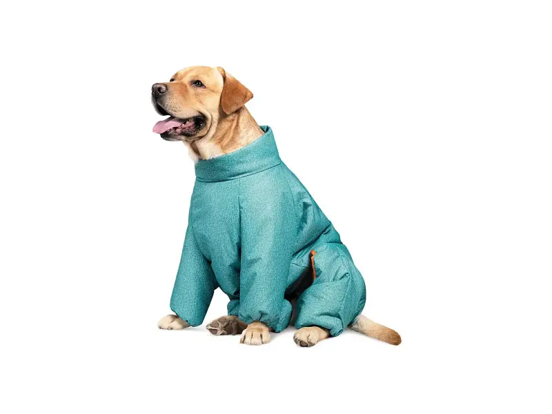 Комбінезон для тварин Pet Fashion «Cold» для такс XS (бірюзовий) (4823082425365)
