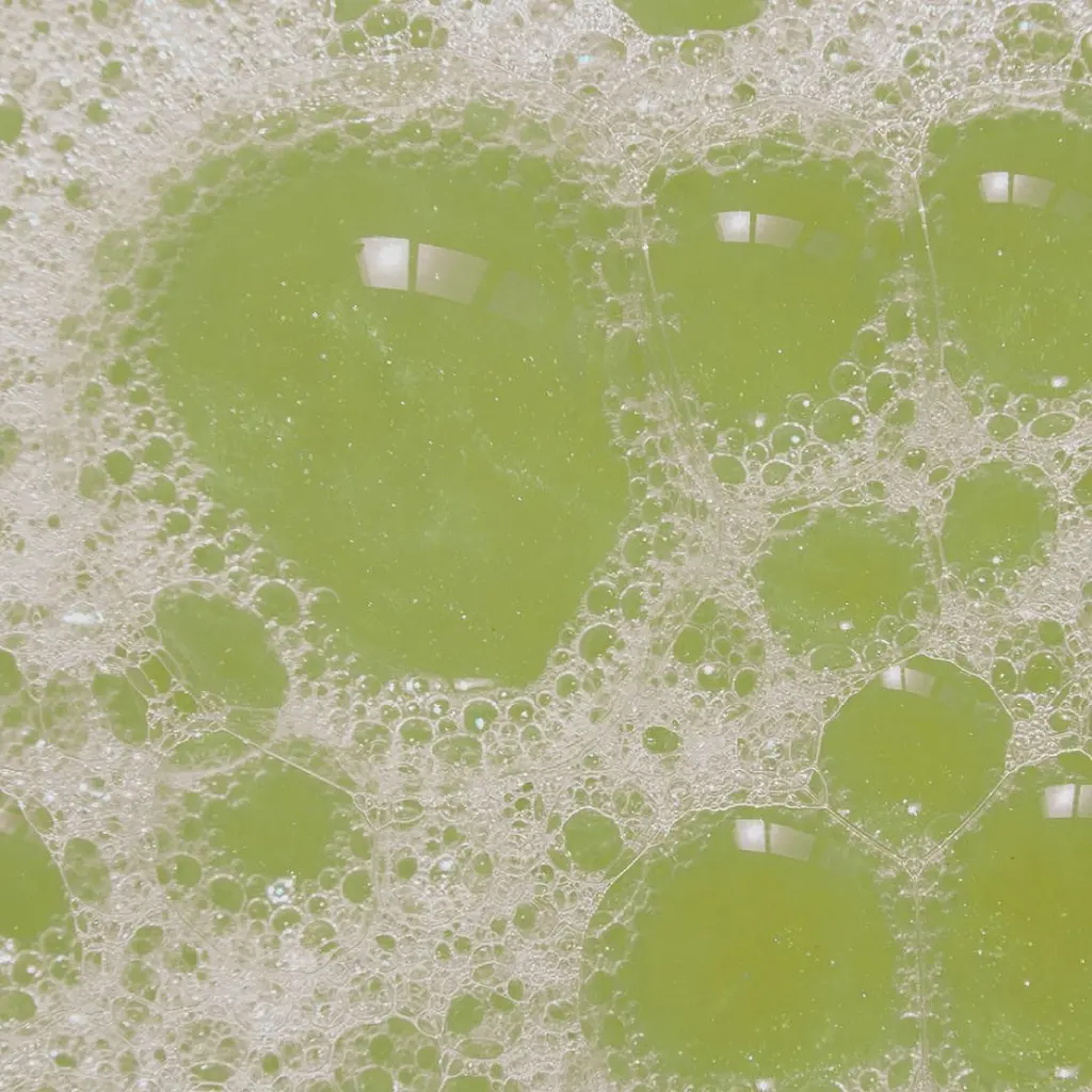 Гель для душа Anian Pear & Cucumber 750 мл - фото 2