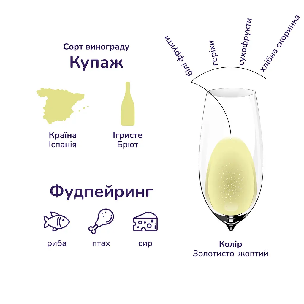 Уцінка. Вино ігристе Pares Balta Cava Brut Nature біле брют натюр 11.5% 0.75 л (758244) - фото 5