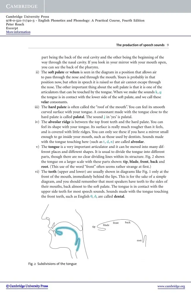 English Phonetics and Phonology. A practical course with Audio CDs - фото 3