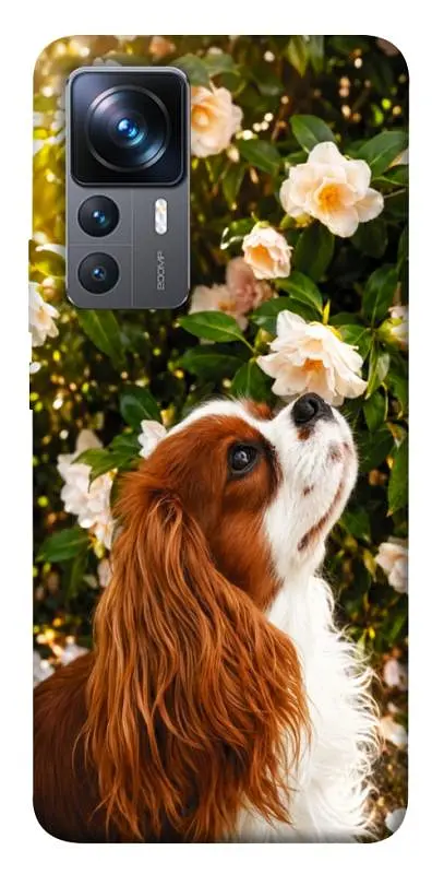 TPU чохол Demsky Flower spaniel для Xiaomi 12T / 12T Pro
