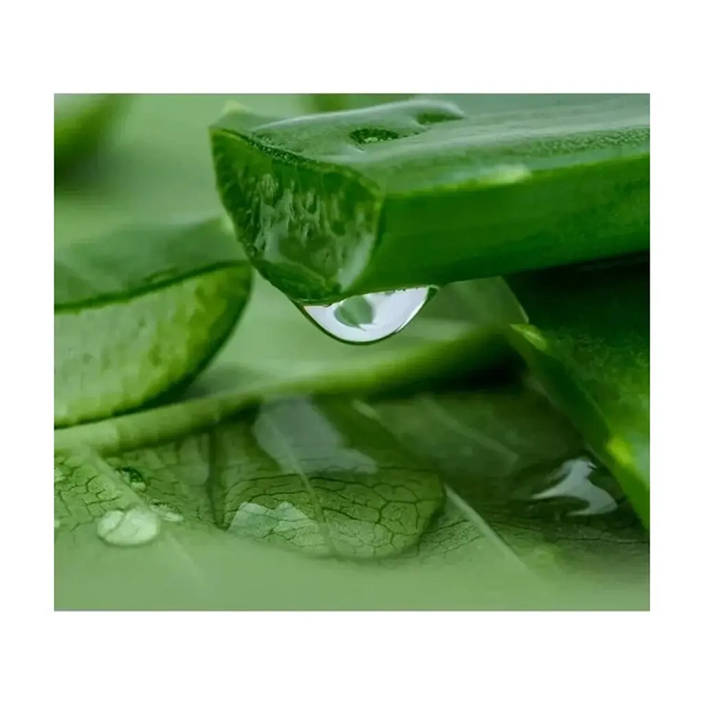 Маска для обличчя Lululun Premium Face Mask Okinawa Aloe Заспокійлива з екстрактом алое 1 шт х 5 уп (4582305069532) - фото 3
