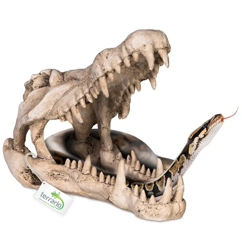 Декорація череп крокодила Terrario Crocodile Skull XL 23x11x16см (251115) - фото 3