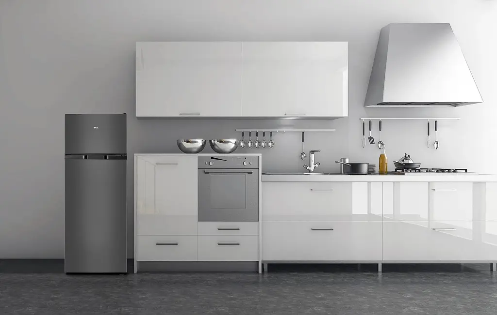 Холодильник TCL RF207TSE1UA - фото 11