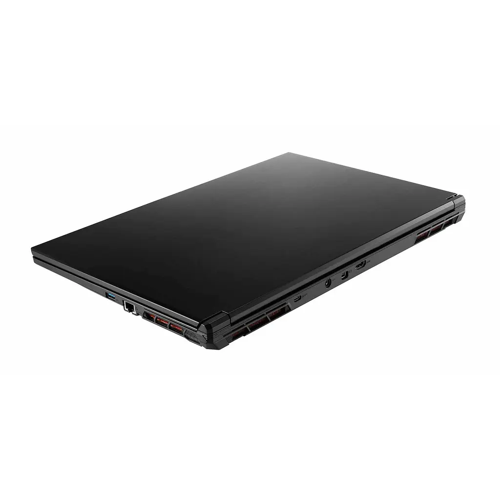 Ноутбук Clevo DreamMachines RG3050-17EU50 i5-13500h 17.3” /RTX3050/500 GB M.2 /16 GB - фото 2