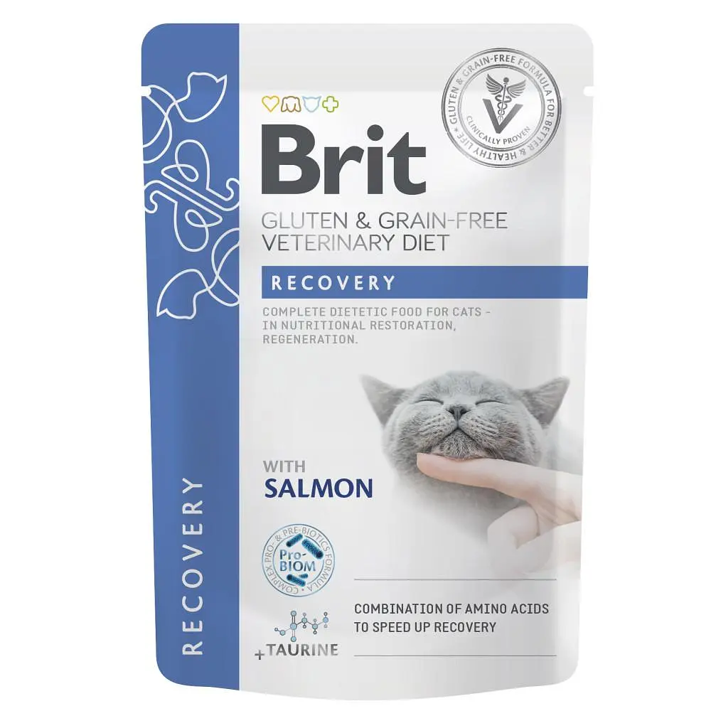 Вологий корм Brit GF VetDiet Recovery для кішок з лососем пауч 85 г (aрт.101116/566693)