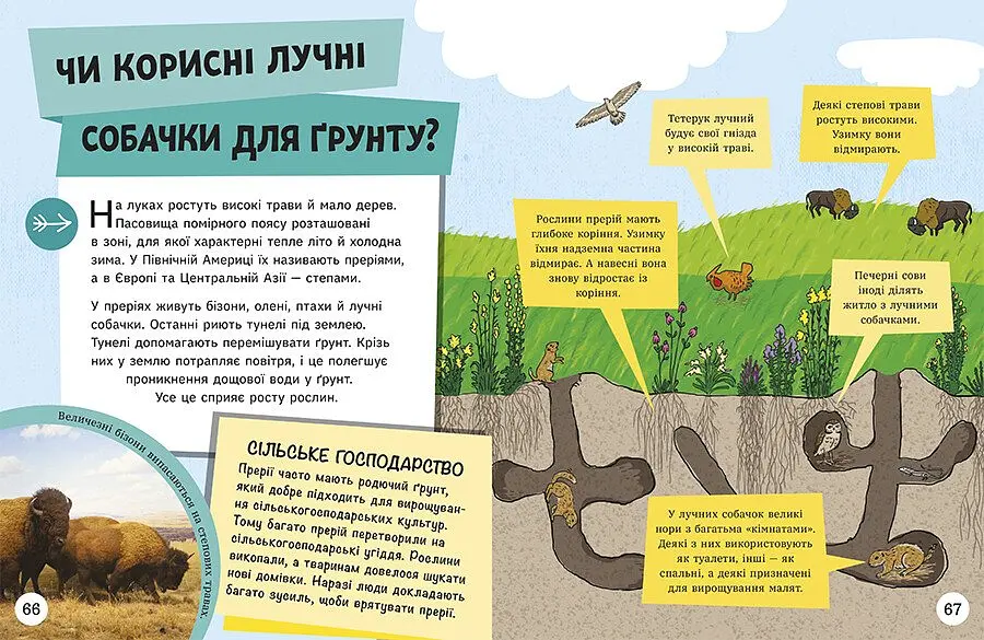 Енциклопедія юних розумників Ранок Допитливим сюди. ДОВКОЛАПИТАНЬ - Ненсі Дікман (НЕ1745007У) - фото 7