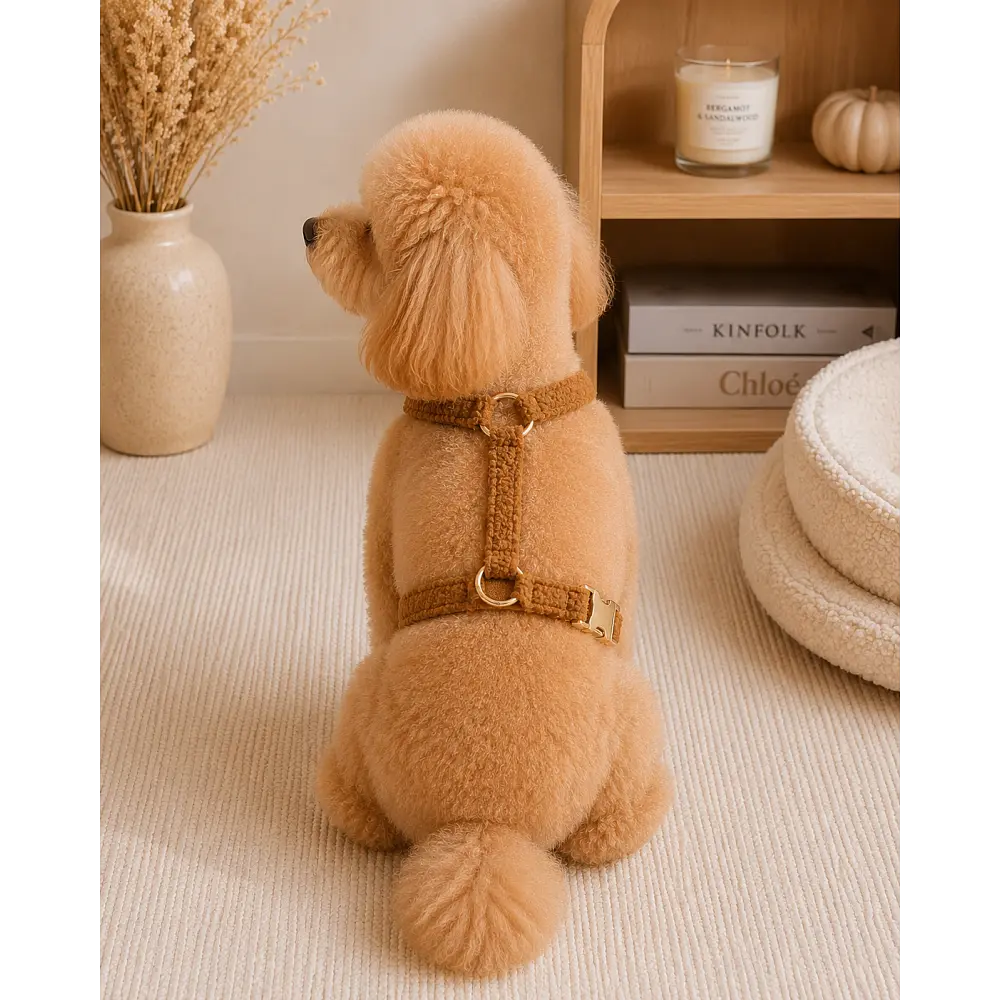 Шлейка для собак Teddy Premium коричнева XS Multibrand zoo0005539