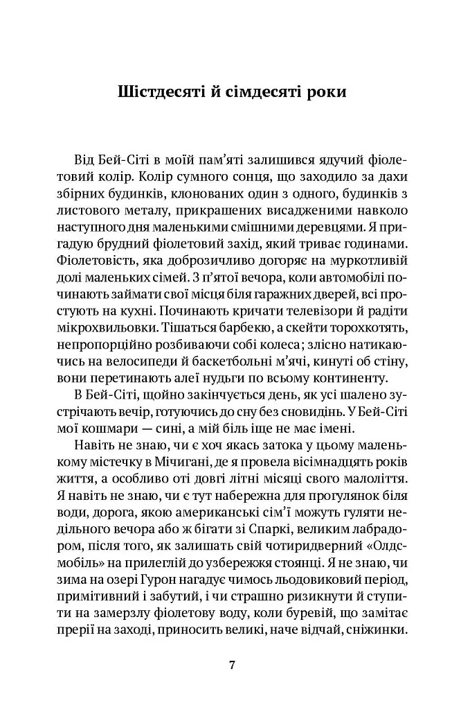 Небо над Бей Сіті - фото 2