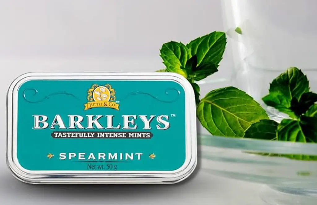 Драже Barkleys Classic Mints Spearmint 50г - фото 5