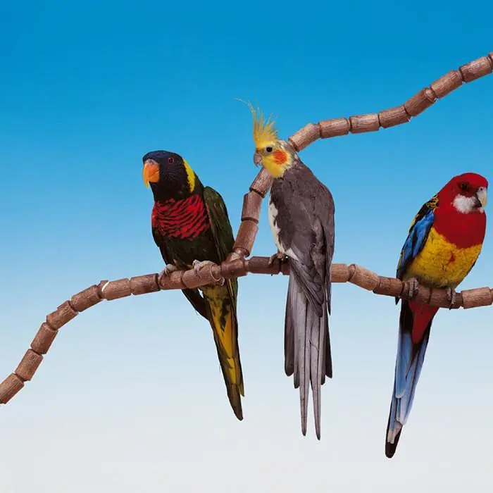 Модульна жердинка Ferplast FLEX 4192 - фото 2