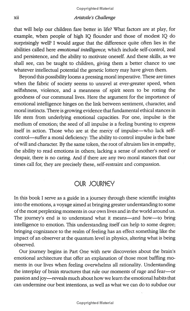 Working with Emotional Intelligence - фото 8