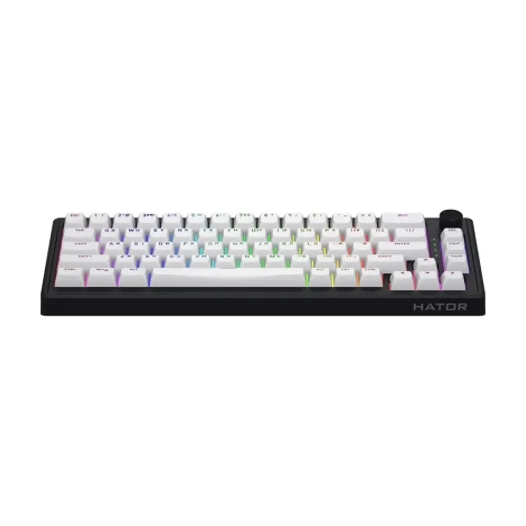Клавіатура Hator Skyfall 65 Aurum Sterling RGB Wireless/Bluetooth/USB UA Black/White (HTK3160UA) - фото 10