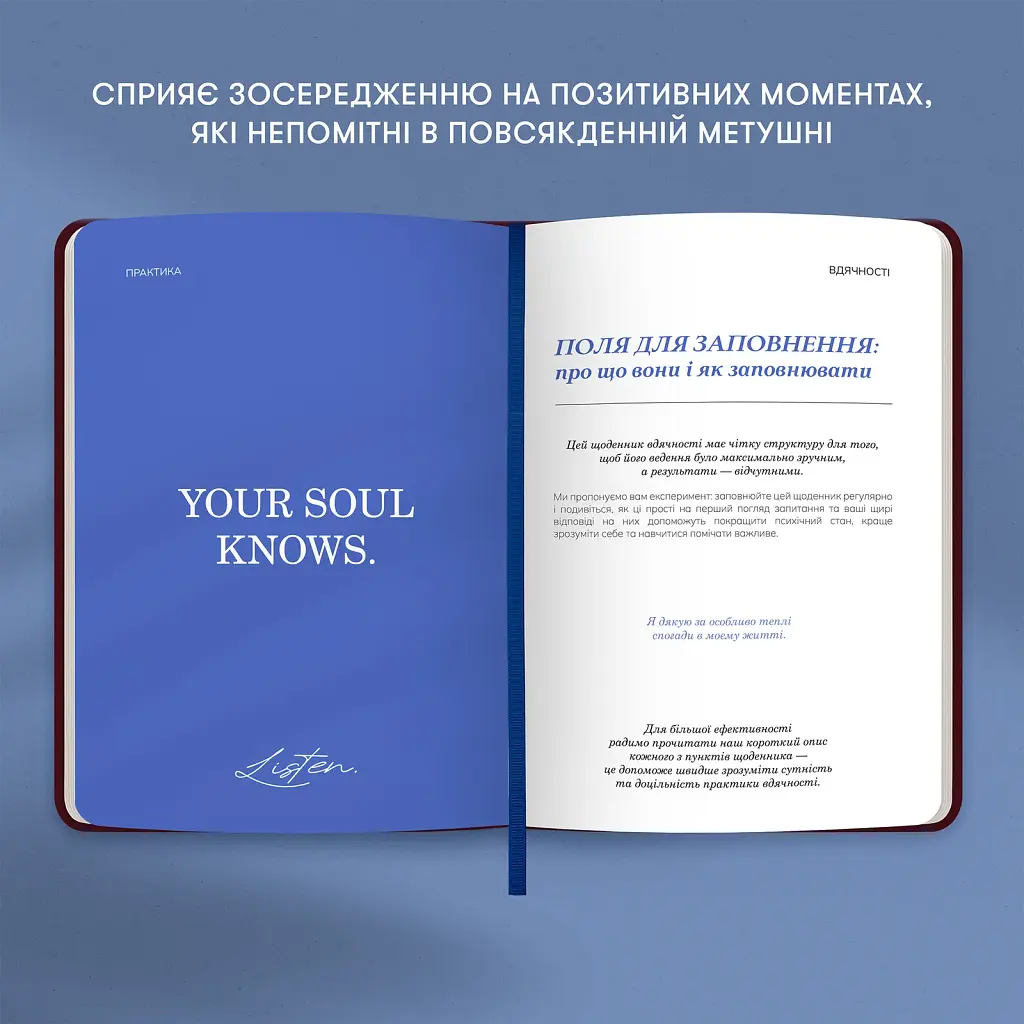 Дневник благодарности Orner "Ночное небо" красный - фото 10