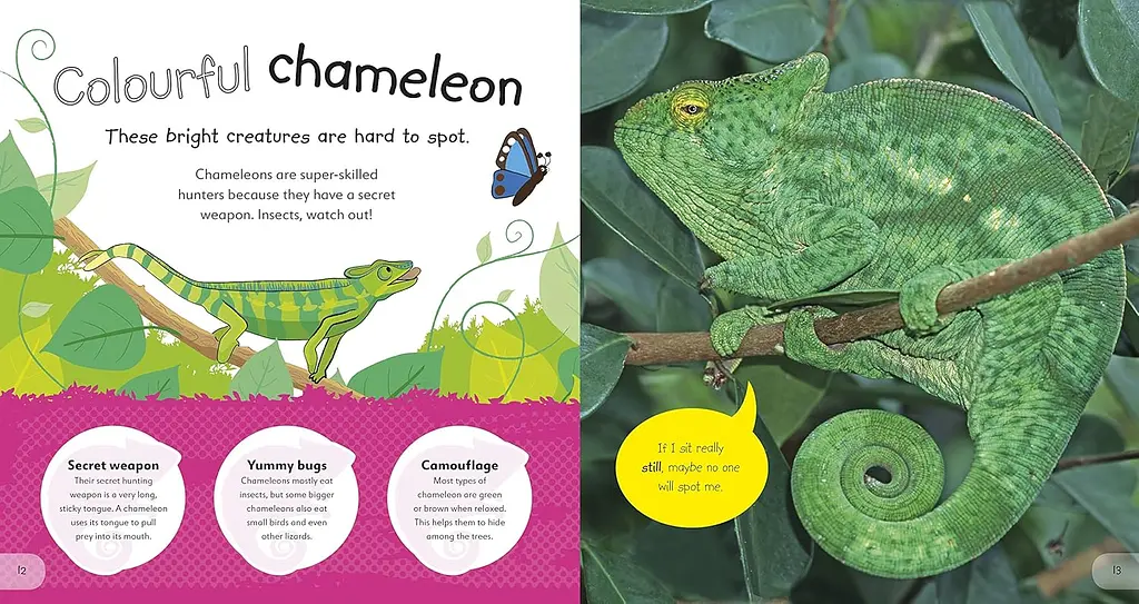 The Incredible Fold-Out Book of Animals - фото 2
