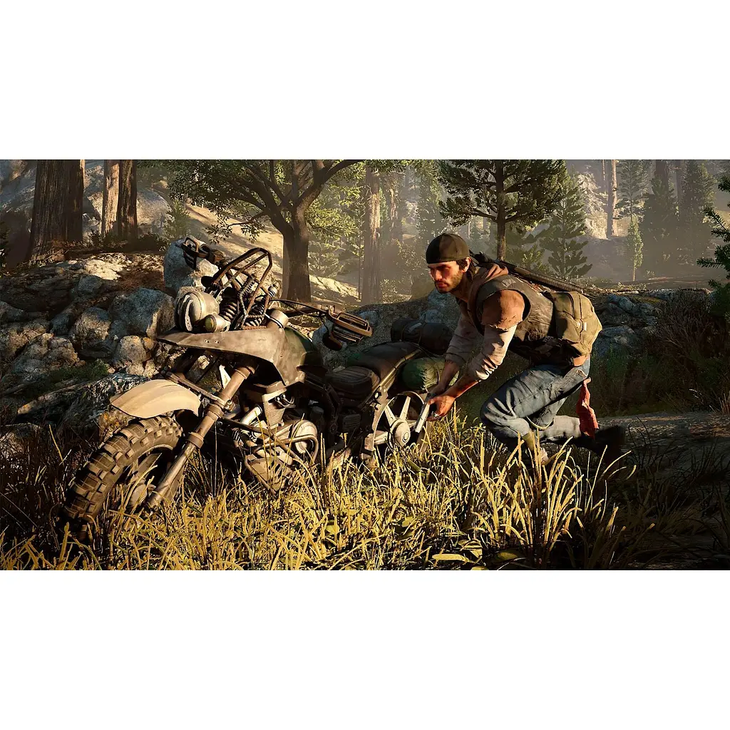 Игра Days Gone для PS4 (RU) [80106] - фото 7