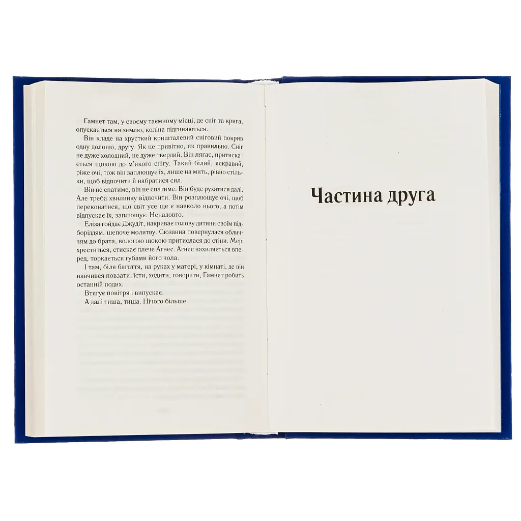 Гамнет - Меґґі О'Фаррелл Vivat (9786171701021) - фото 6