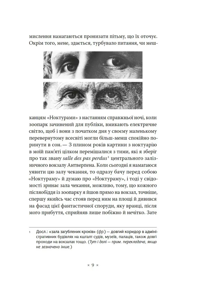 Аустерліц - фото 6