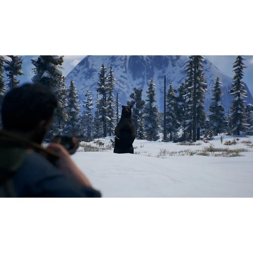 Ключ активации Microsoft Open Country для Xbox One/Series - фото 8