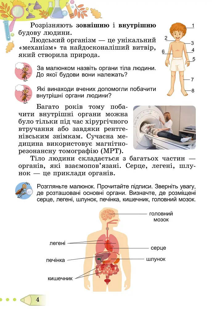 Я досліджую світ 3 клас. Підручник. Частина 2 - фото 3