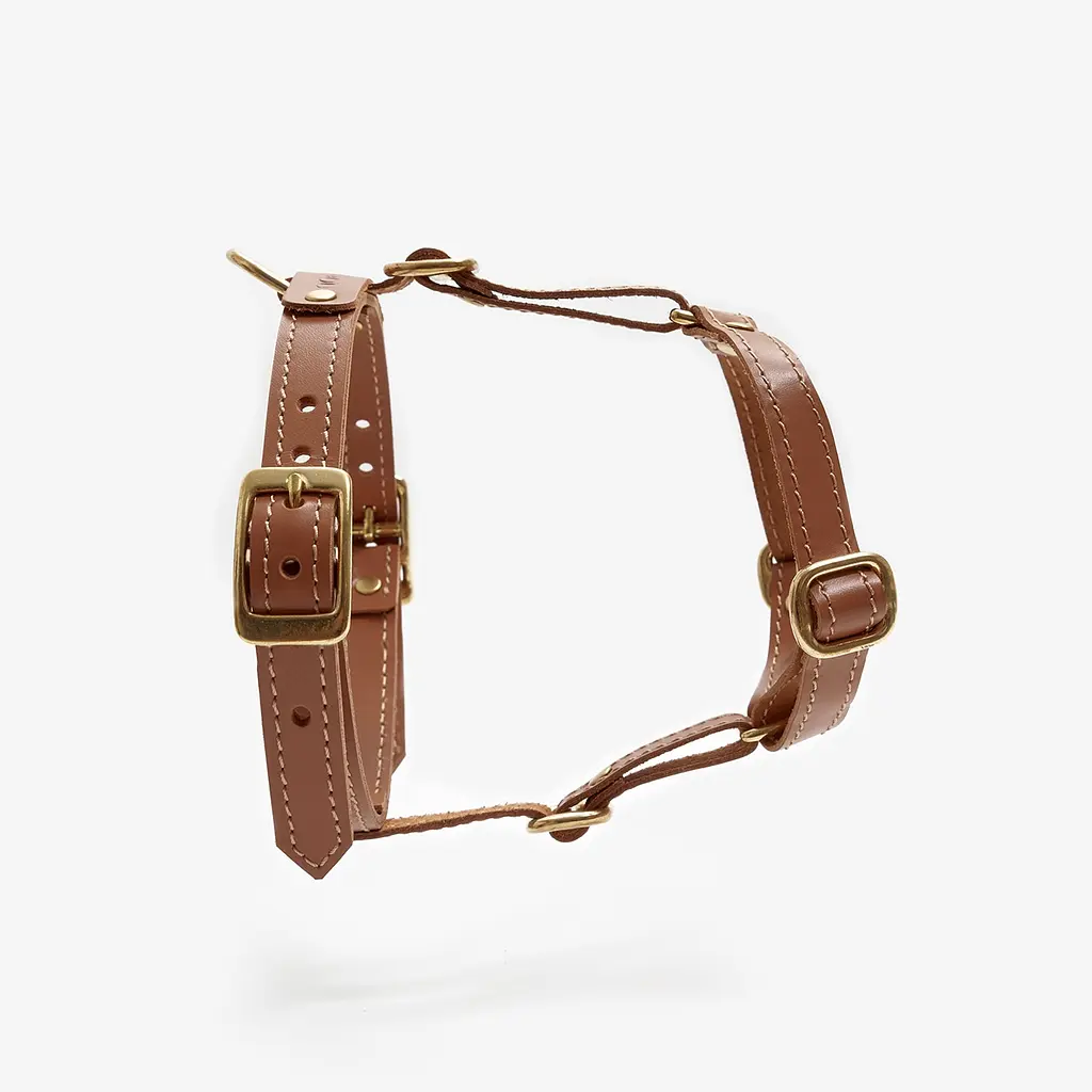 Шкіряна анатомічна шлея для собак "Classy" XS руда (обхват грудини 28-36 см) - фото 4