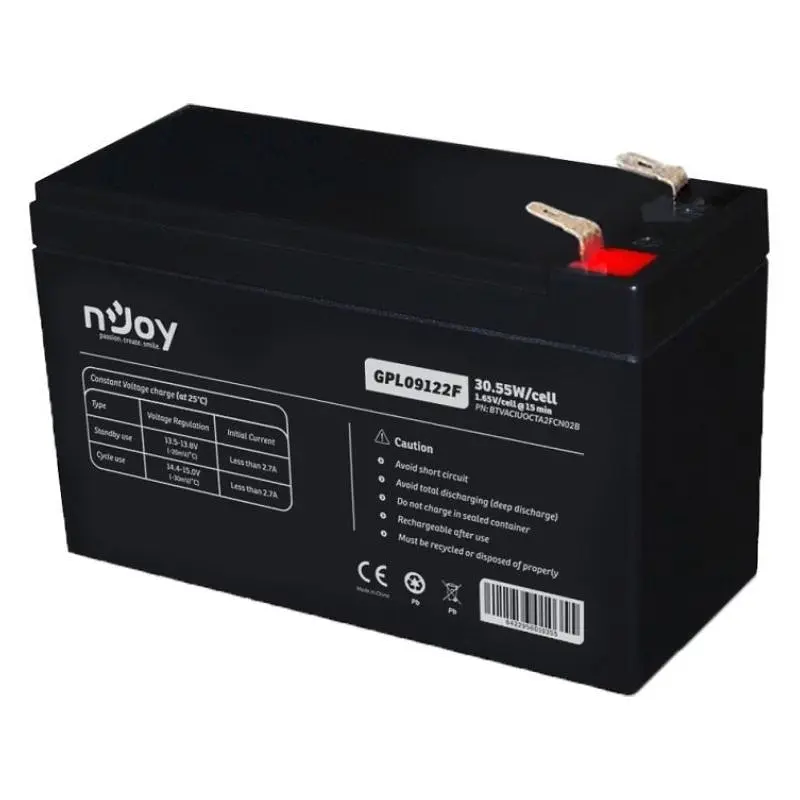 Аккумуляторная батарея Njoy 12V 9AH (BTVACIUOCTA2FCN02B) AGM (GPL09122F) - фото 2