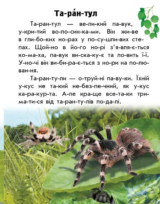 Читаю про Україну. Тварини степів - Юлія Каспарова - фото 7