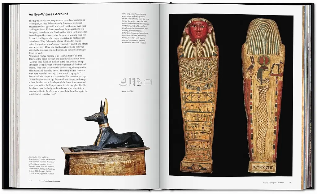 Egypt. People, Gods, Pharaohs - фото 7