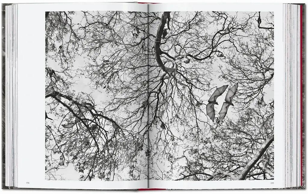 Sebastiao Salgado. Genesis. 45th Edition - фото 9