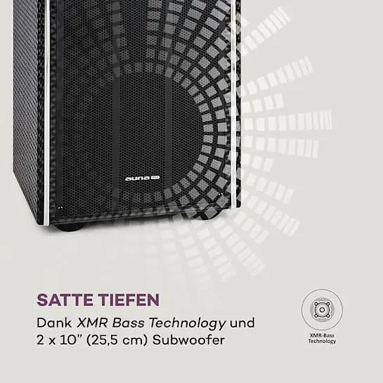 Мобильная акустическая система Auna Pro DisGo Box 2100 DVD (10035201) - фото 5