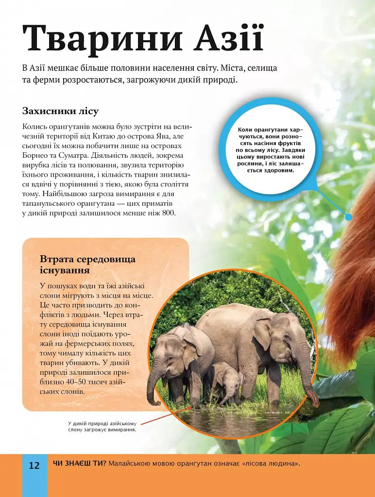 Дитяча енциклопедія довкілля - - фото 11