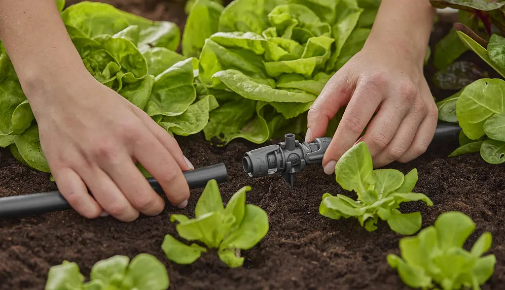 З'єднувач T-подібний для мікронасадок Gardena Micro-Drip-System Quick & Easy для шлангів 13 мм, 5 шт (13206-20) - фото 2